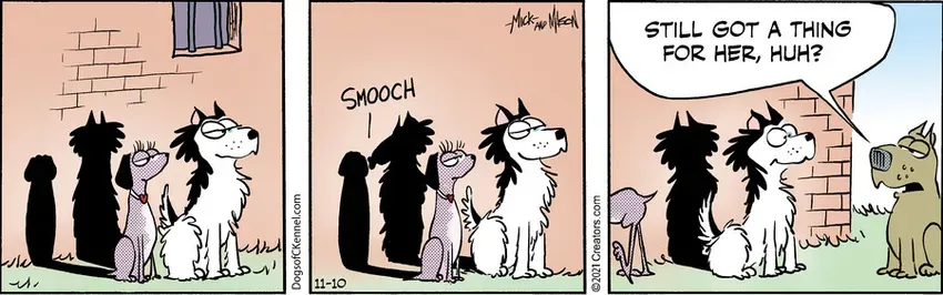 Dogs of C-Kennel for Nov 10, 2021