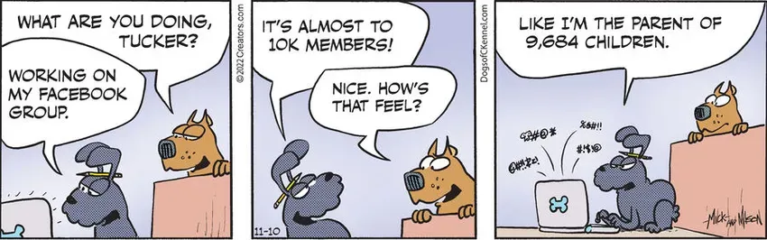 Dogs of C-Kennel for Nov 10, 2022
