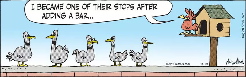 Dogs of C-Kennel for Nov 10, 2023