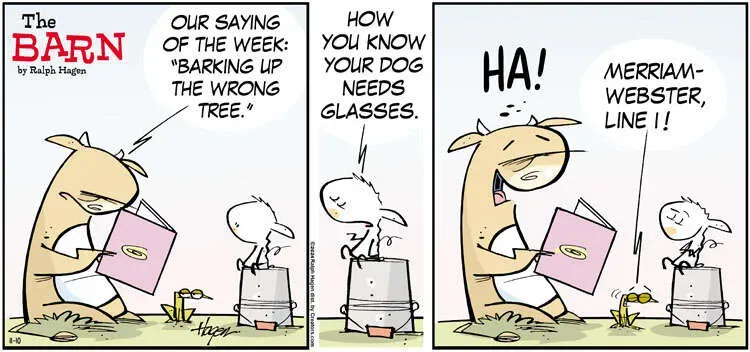 The Barn for Nov 10, 2024