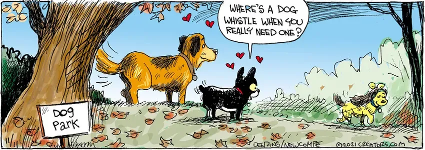 Zack Hill for Nov 11, 2021