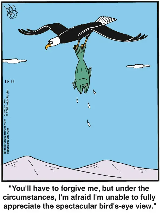 Rubes® for Nov 11, 2021