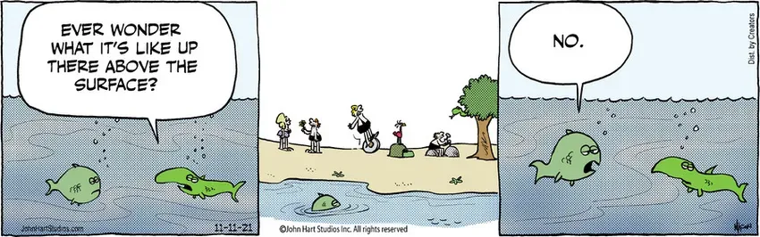 B.C. for Nov 11, 2021