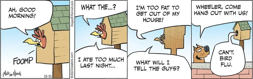 Dogs of C-Kennel for Nov 11, 2022