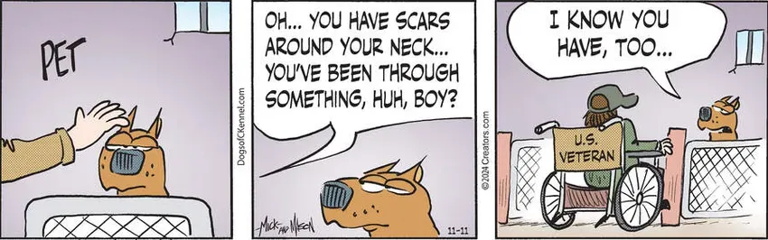 Dogs of C-Kennel for Nov 11, 2024