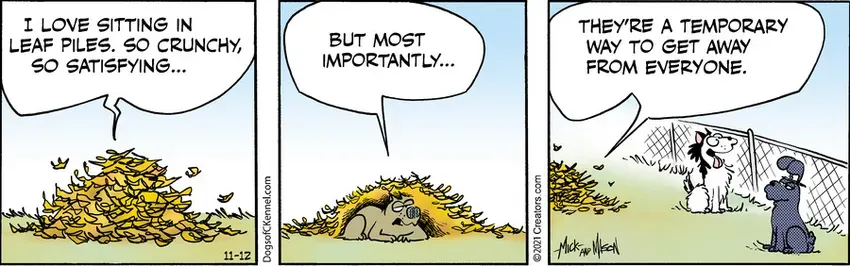 Dogs of C-Kennel for Nov 12, 2021