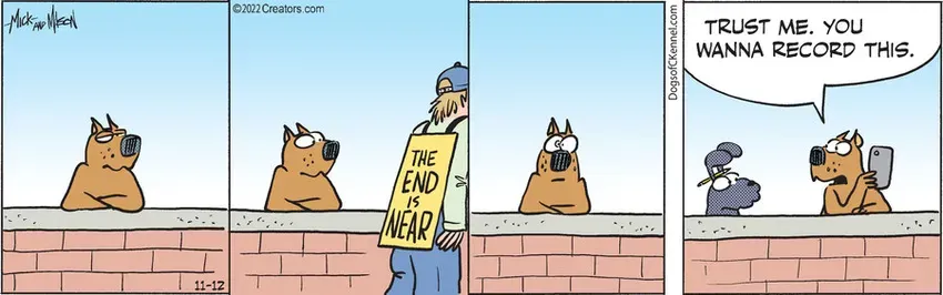 Dogs of C-Kennel for Nov 12, 2022