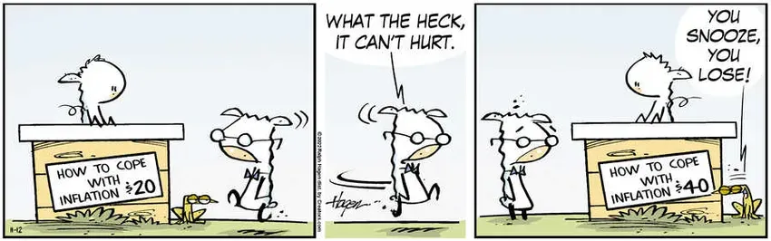 The Barn for Nov 12, 2022