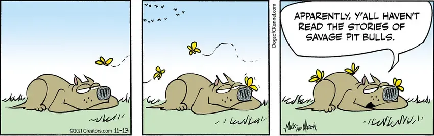 Dogs of C-Kennel for Nov 13, 2021