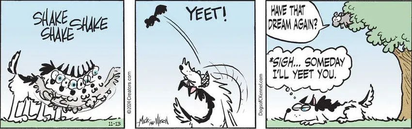 Dogs of C-Kennel for Nov 13, 2024