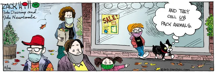 Zack Hill for Nov 14, 2021