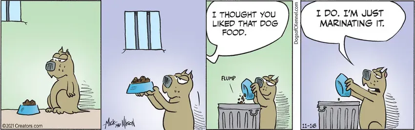 Dogs of C-Kennel for Nov 16, 2021