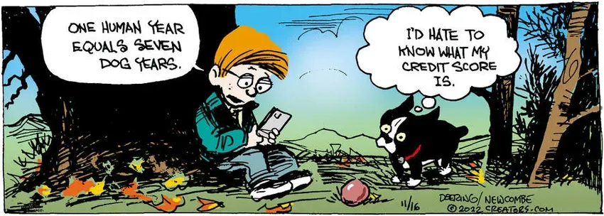 Zack Hill for Nov 16, 2022