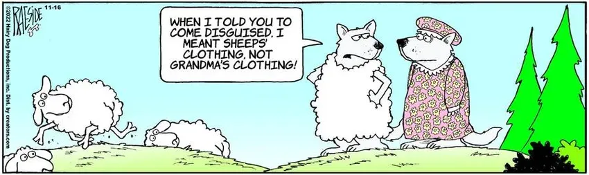 The Other Coast for Nov 16, 2022