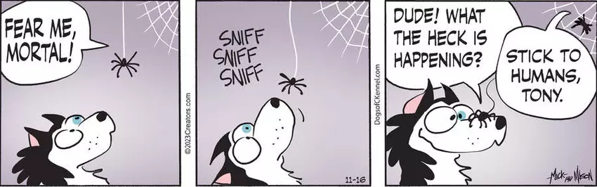 Dogs of C-Kennel for Nov 16, 2023