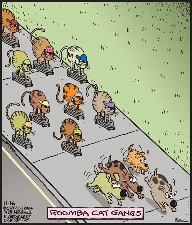 Free Range for Nov 16, 2024