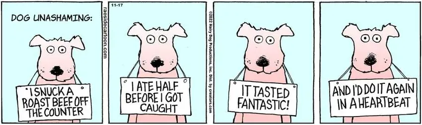 The Other Coast for Nov 17, 2022