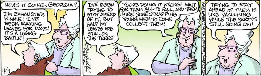 Flo & Friends for Nov 17, 2022