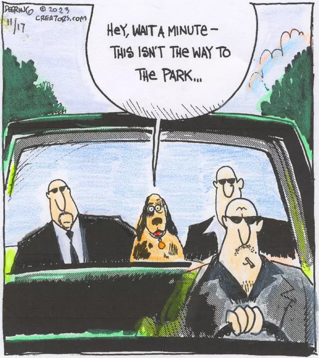 Strange Brew for Nov 17, 2023