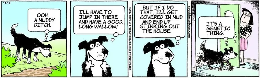 The Other Coast for Nov 18, 2022