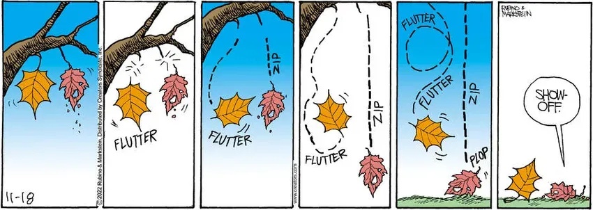 Daddy's Home for Nov 18, 2022