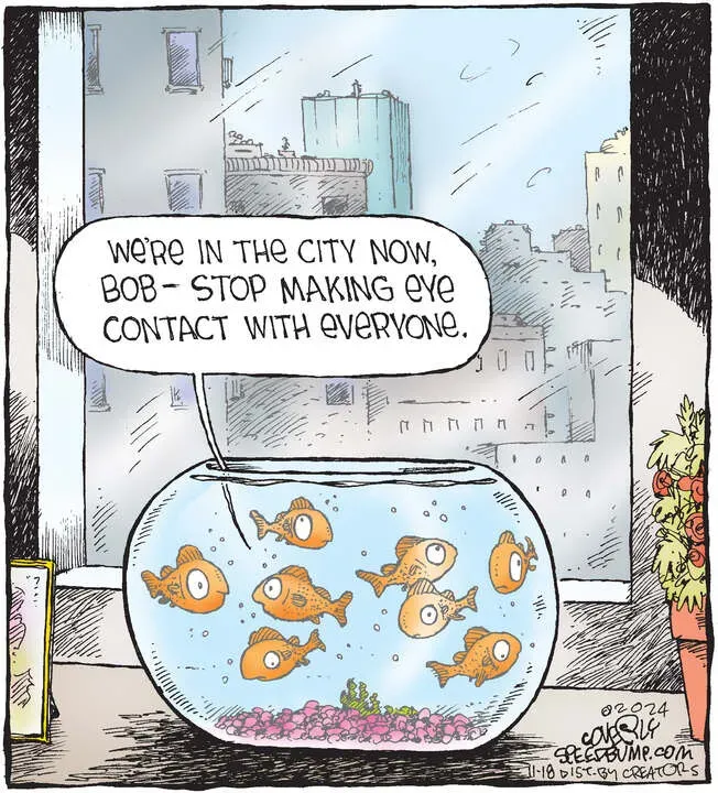 Speed Bump for Nov 18, 2024