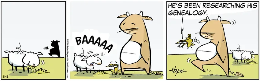 The Barn for Nov 19, 2021