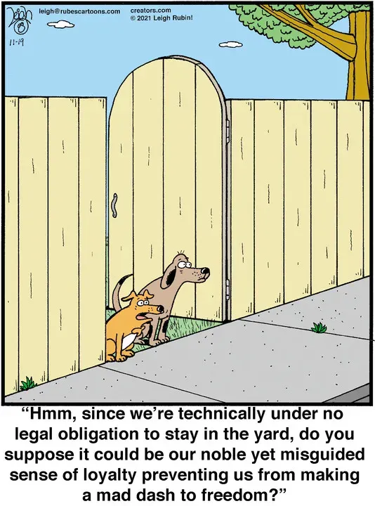 Rubes® for Nov 19, 2021