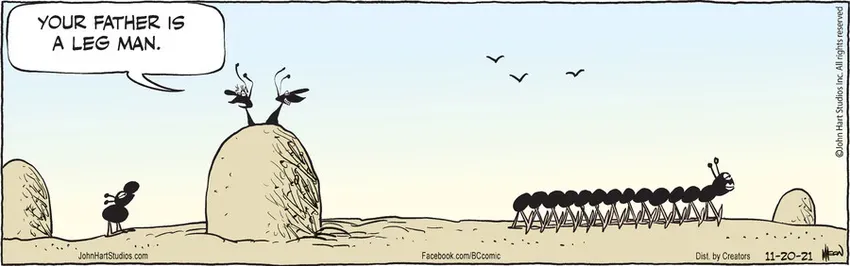 B.C. for Nov 20, 2021