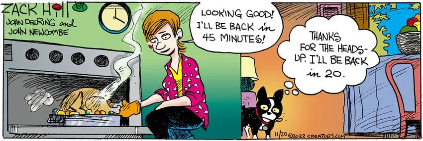 Zack Hill for Nov 20, 2022