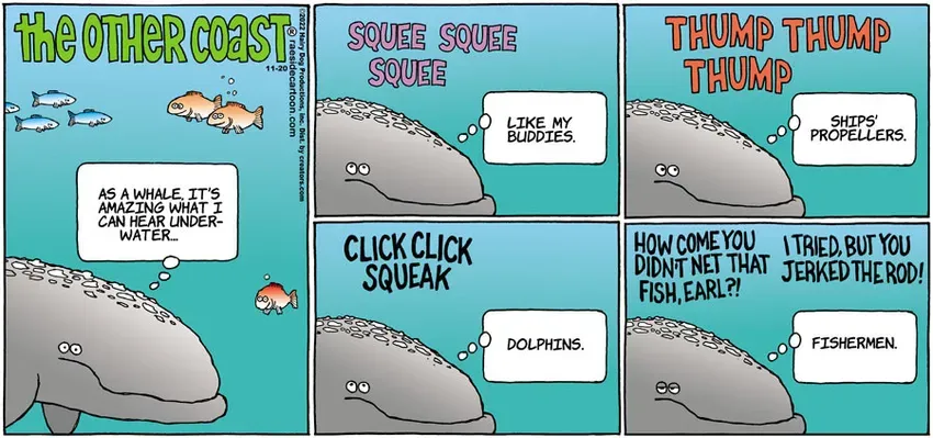 The Other Coast for Nov 20, 2022