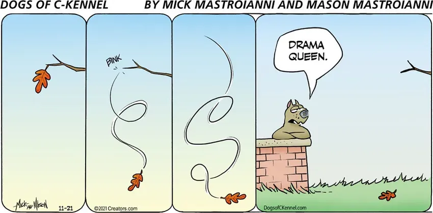 Dogs of C-Kennel for Nov 21, 2021