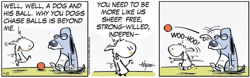 The Barn for Nov 22, 2021