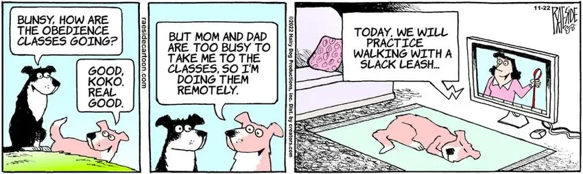 The Other Coast for Nov 22, 2022