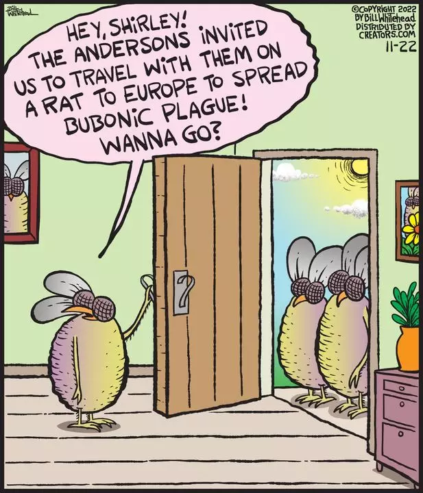 Free Range for Nov 22, 2022