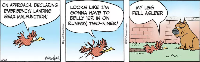 Dogs of C-Kennel for Nov 22, 2023