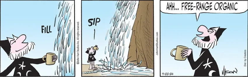 Wizard of Id for Nov 22, 2024