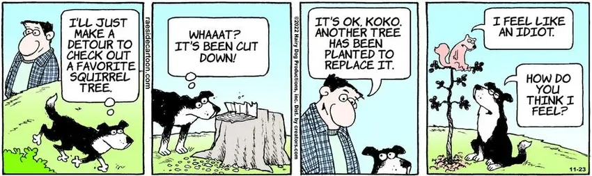 The Other Coast for Nov 23, 2022