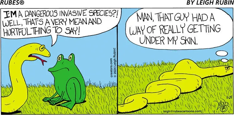 Rubes® for Nov 24, 2024