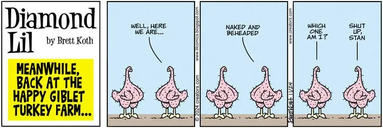 Diamond Lil for Nov 24, 2024