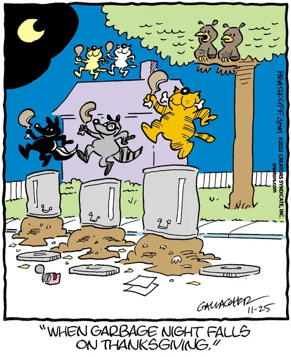 Heathcliff for Nov 25, 2021