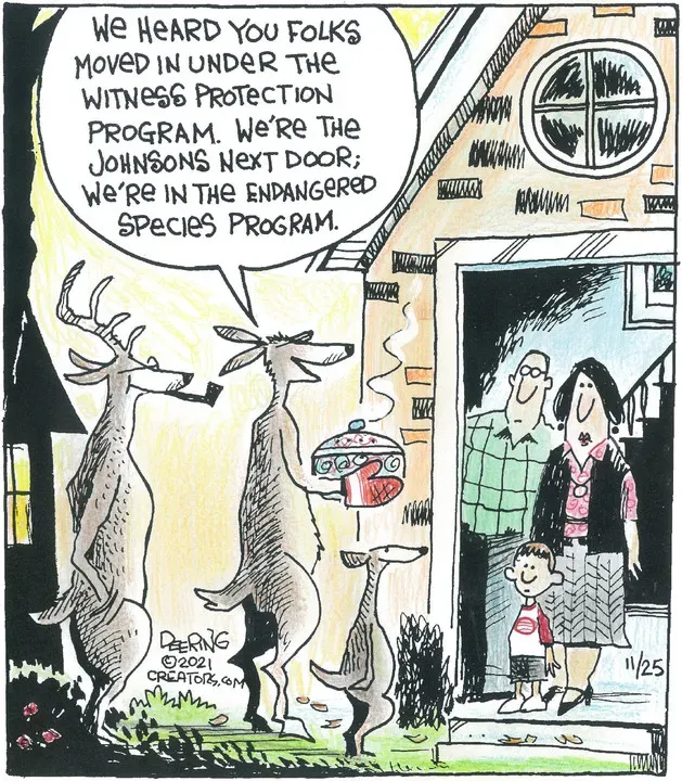 Strange Brew for Nov 25, 2021