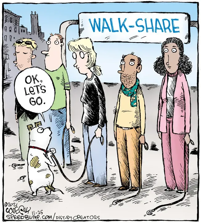 Speed Bump for Nov 25, 2021
