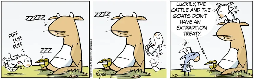 The Barn for Nov 25, 2021