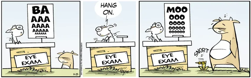 The Barn for Nov 25, 2022