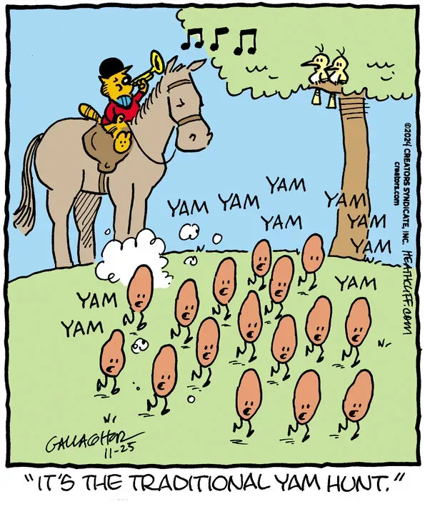 Heathcliff for Nov 25, 2024