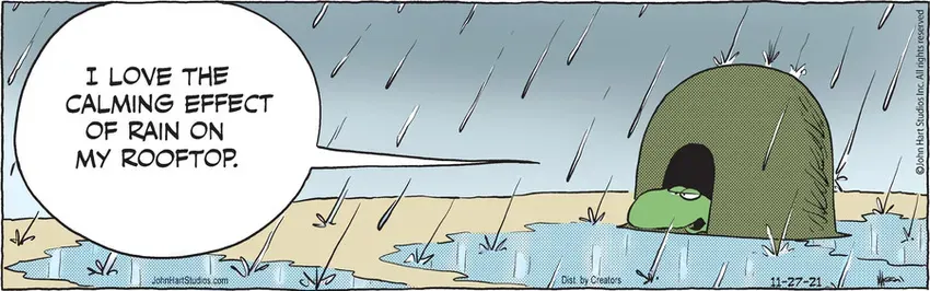 B.C. for Nov 27, 2021