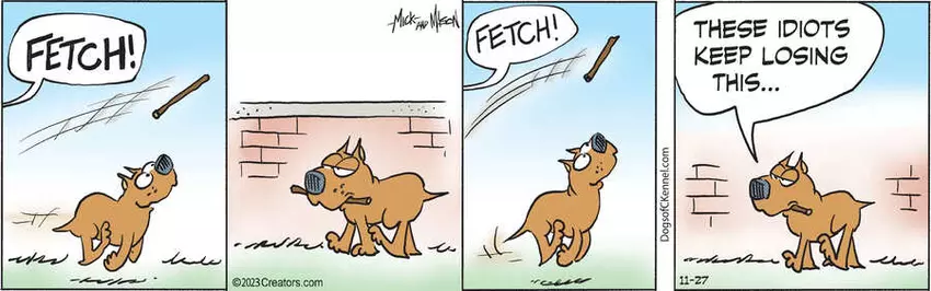 Dogs of C-Kennel for Nov 27, 2023