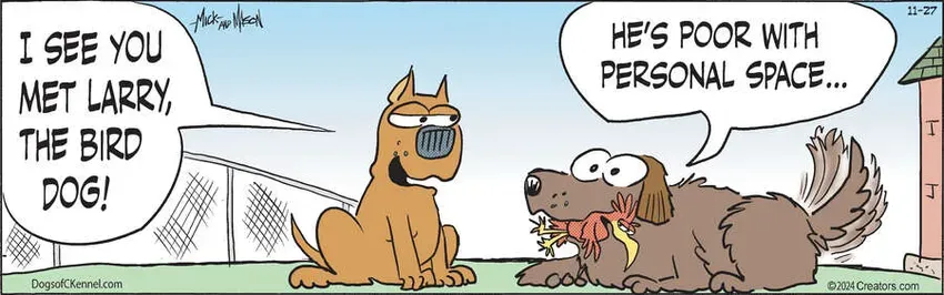 Dogs of C-Kennel for Nov 27, 2024