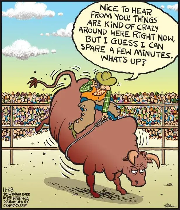 Free Range for Nov 28, 2022